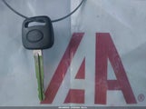 Miniaturka zdjęcia 11