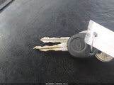Miniaturka zdjęcia 11