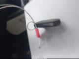 Miniaturka zdjęcia 11