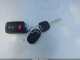 Miniaturka zdjęcia 11
