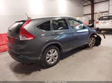 Miniaturka zdjęcia 4