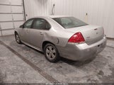 Miniaturka zdjęcia 3