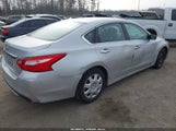 Miniaturka zdjęcia 4