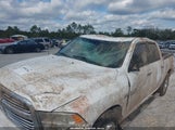 Ram  Big Horn 1C6RR6LT5DS650739 снимка