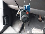 Miniaturka zdjęcia 11