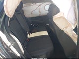 Miniaturka zdjęcia 8