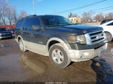 Ford Expedition Eddie Bauer/King Ranch 1FMFU18588LA79038 fotografie