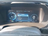 Miniaturka zdjęcia 7