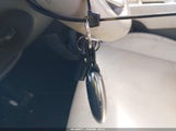 Miniaturka zdjęcia 11