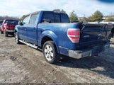 Ford F-150 Fx2 Sport/Harley-Davidson/King Ranch/Lariat/Platinum/Xl/Xlt 1FTFW1CV6AFB83084 fotografie