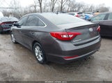 Hyundai Sonata 5NPE24AF4HH507783 снимка