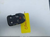 Miniaturka zdjęcia 11