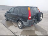 Miniaturka zdjęcia 3