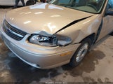 Chevrolet Malibu 1G1ND52J63M502868 снимка