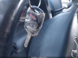Miniaturka zdjęcia 11