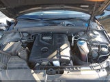 Audi A4 2.0T Premium WAUFFAFLXBN056501 снимка