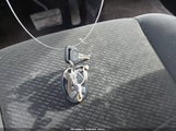 Miniaturka zdjęcia 11