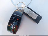 Miniaturka zdjęcia 11
