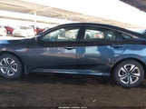 Honda Civic Lx 2HGFC2F59HH503731 снимка