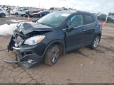 Miniaturka zdjęcia 2
