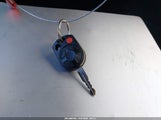 Miniaturka zdjęcia 11