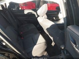 Miniaturka zdjęcia 8