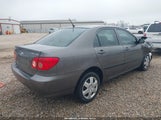 Miniaturka zdjęcia 4