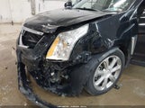 Miniaturka zdjęcia 6