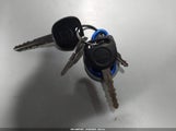 Miniaturka zdjęcia 11