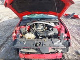 Ford Mustang Gt 1FA6P8CF7K5133693 снимка