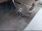 Miniaturka zdjęcia 11