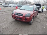 Miniaturka zdjęcia 2