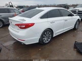 Hyundai Sonata Sport 5NPE34AF0FH137684 снимка