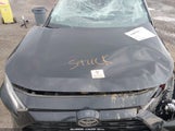 Miniaturka zdjęcia 10