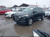 Miniaturka zdjęcia 2