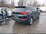 Miniaturka zdjęcia 4