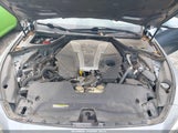 Miniaturka zdjęcia 10