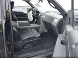 Ford F-150 Fx4/Lariat/Xl/Xlt 1FTPX14555KC87773 fotografie