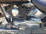 Harley-Davidson Flstni 1HD1JDB136Y010982 снимка