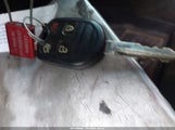 Miniaturka zdjęcia 11