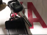 Miniaturka zdjęcia 11