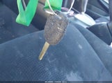 Miniaturka zdjęcia 11