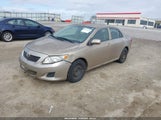 Toyota Corolla Le 1NXBU4EE0AZ310762 снимка
