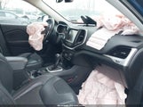 Miniaturka zdjęcia 5