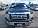 Ford F-150 Fx2 Sport/Harley-Davidson/King Ranch/Lariat/Platinum/Xl/Xlt 1FTFW1CV8AFD84761 photo