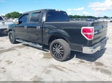 Ford F-150 Fx2 Sport/Harley-Davidson/King Ranch/Lariat/Platinum/Xl/Xlt 1FTFW1CV8AFD84761 photo