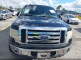 Ford F-150 Fx2 Sport/Harley-Davidson/King Ranch/Lariat/Platinum/Xl/Xlt 1FTFW1CV8AFD84761 снимка
