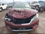 Honda Accord Ex-L V-6 1HGCR3F82EA015989 photo