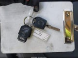 Miniaturka zdjęcia 11
