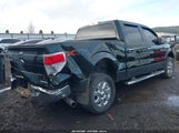 Ford F-150 Xlt 1FTFW1EF1DFB70995 снимка